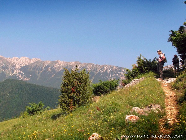 Walk Piatra Craiului Bucegi walkers 600